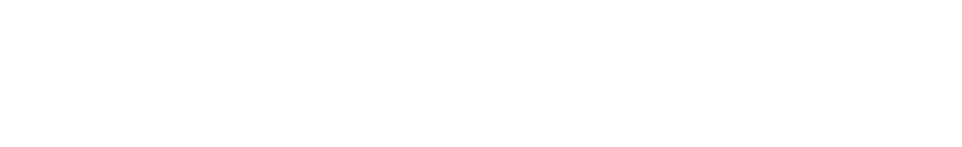 スピード審査